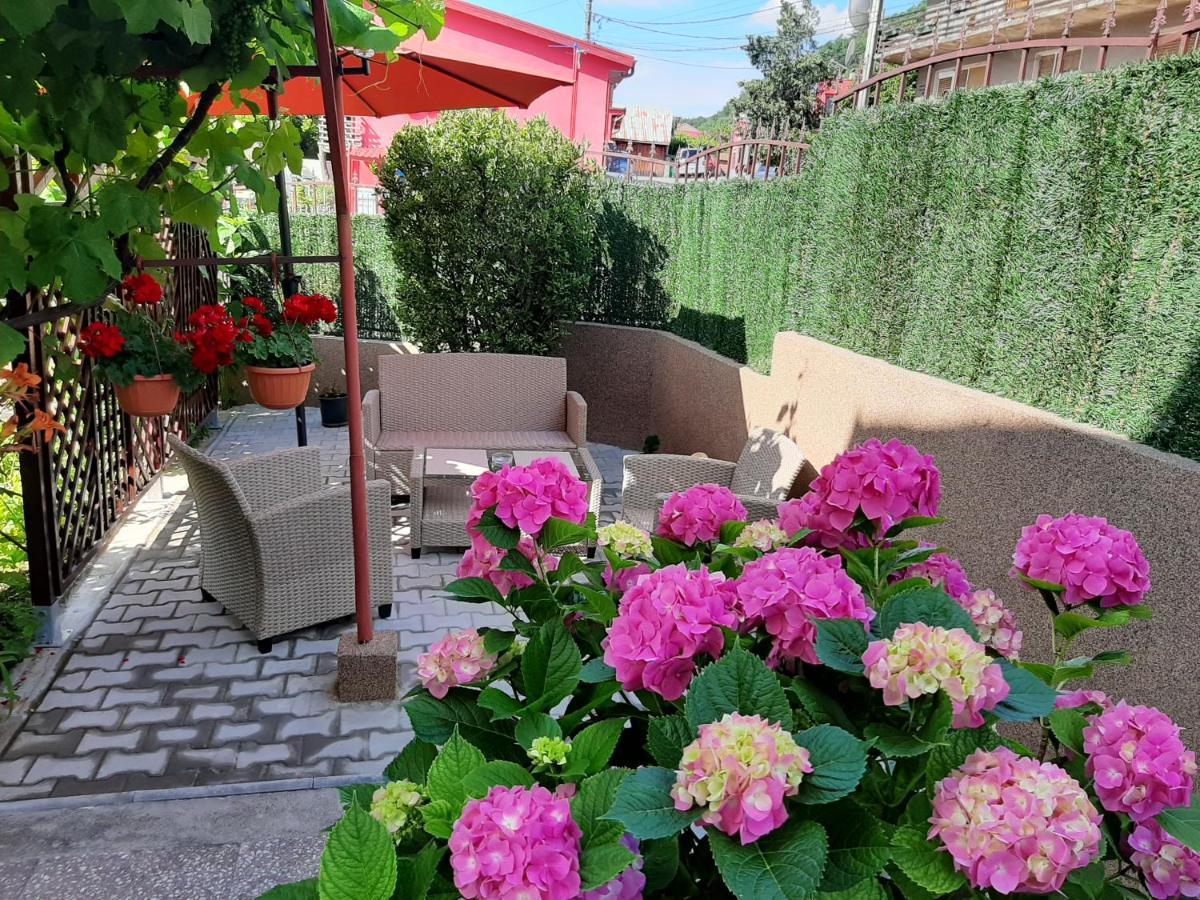 Vila Arjana Orşova Extérieur photo