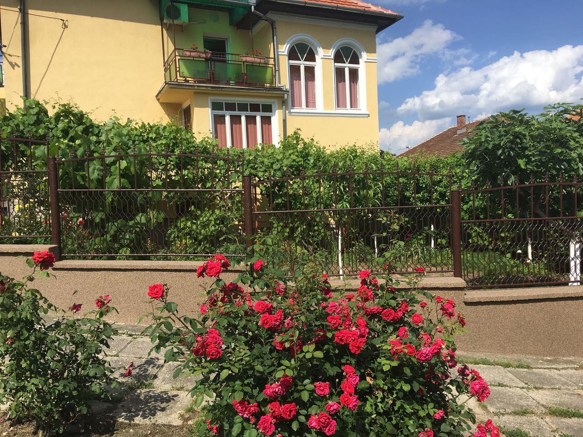Vila Arjana Orşova Extérieur photo