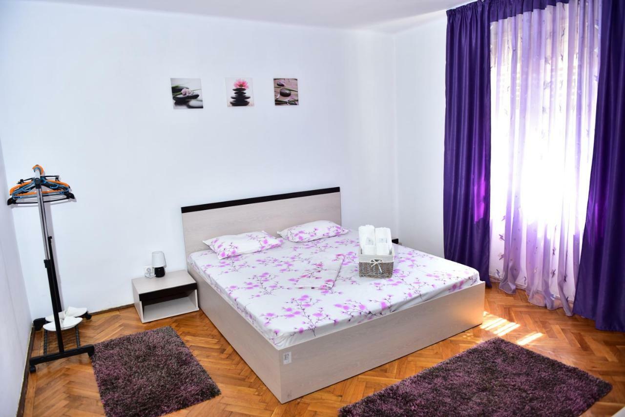 Vila Arjana Orşova Extérieur photo